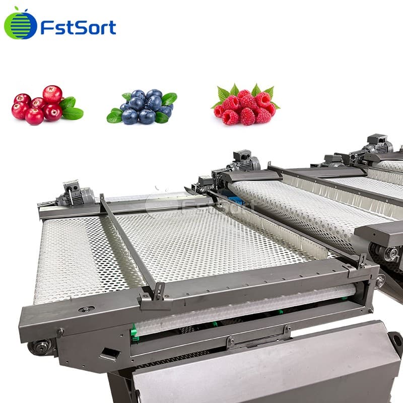images/1760413068227blueberry sorting machine.jpg